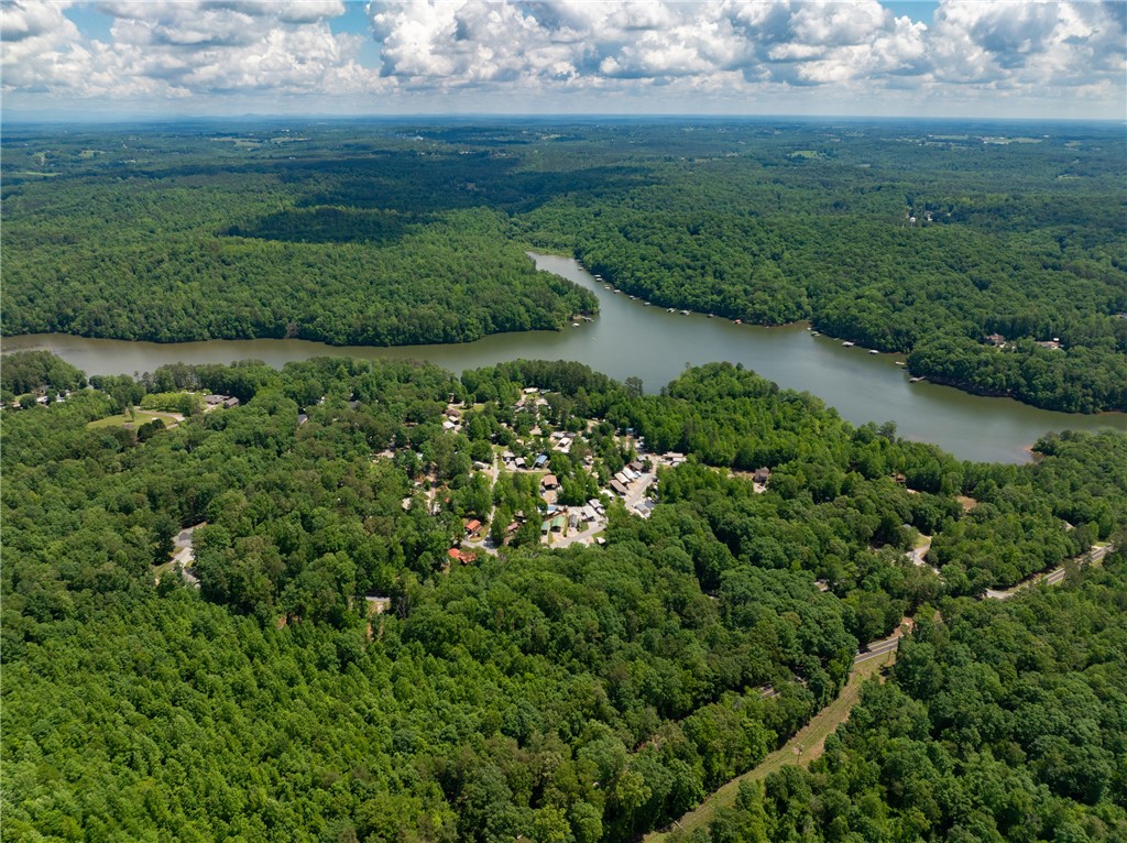 Lot 49 Brandywine Drive, Westminster, South Carolina image 21