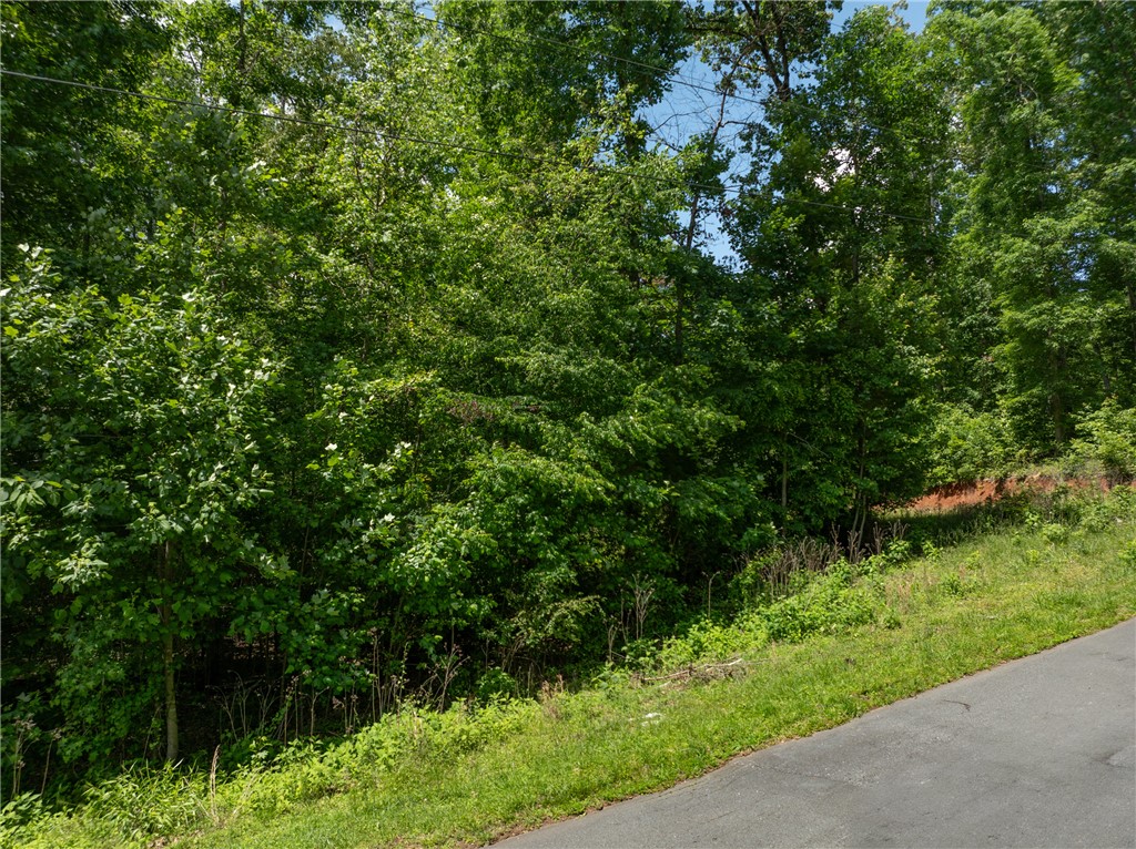 Lot 49 Brandywine Drive, Westminster, South Carolina image 1