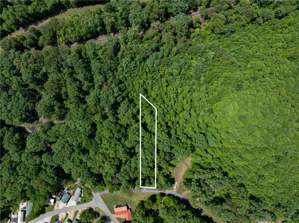 Lot 49 Brandywine Drive, Westminster, South Carolina image 7