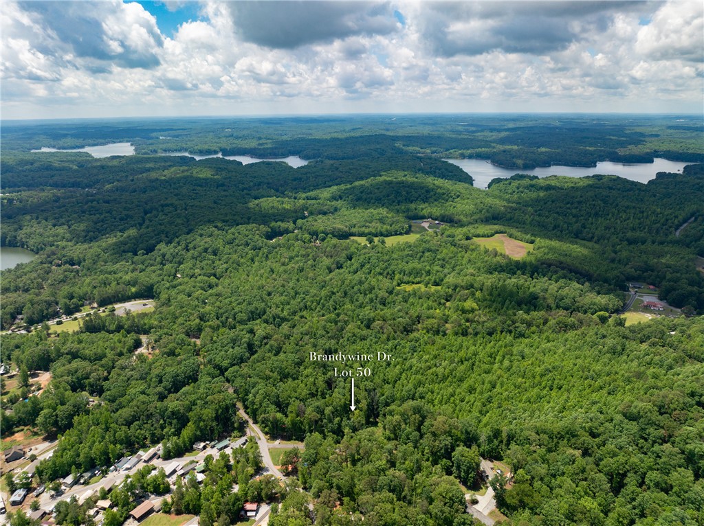 Lot 49 Brandywine Drive, Westminster, South Carolina image 34