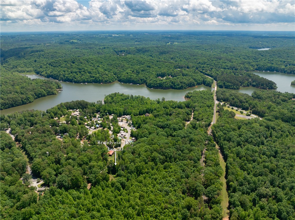 Lot 49 Brandywine Drive, Westminster, South Carolina image 22