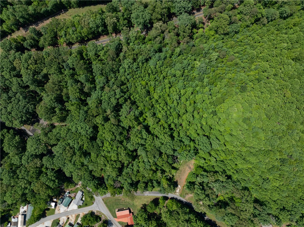Lot 49 Brandywine Drive, Westminster, South Carolina image 8