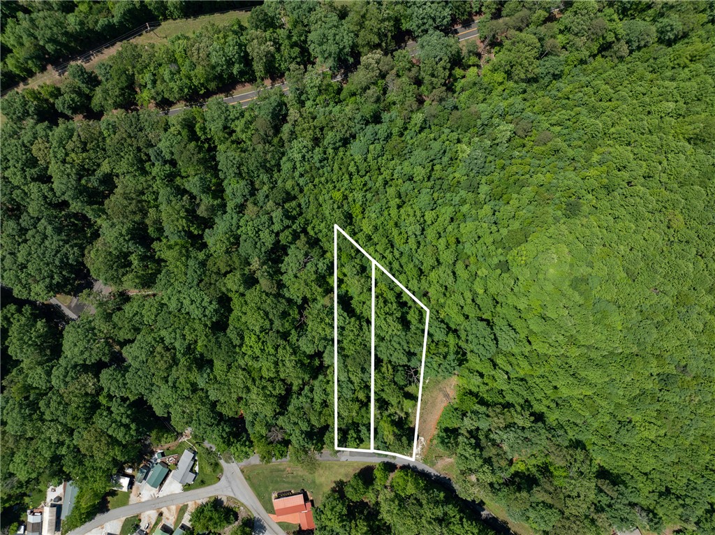 Lot 49 Brandywine Drive, Westminster, South Carolina image 6