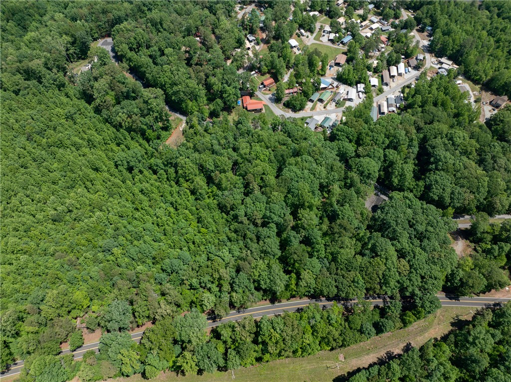 Lot 49 Brandywine Drive, Westminster, South Carolina image 15