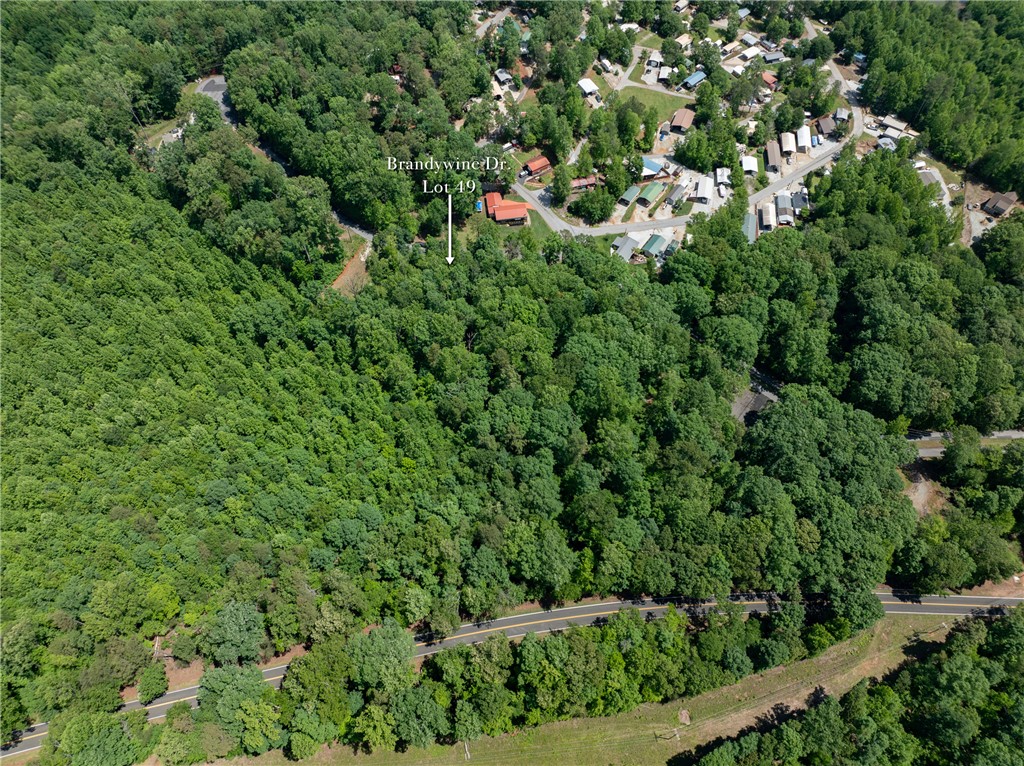 Lot 49 Brandywine Drive, Westminster, South Carolina image 13