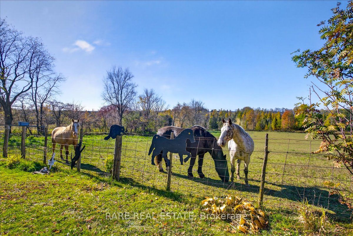 302694 Douglas Street 61