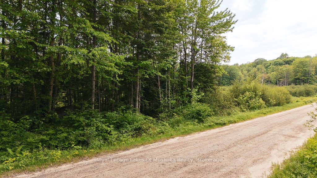 254 Expressway Road