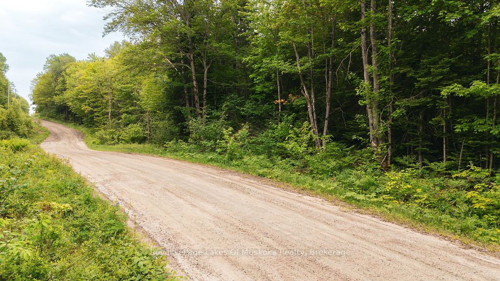 254 Expressway Road