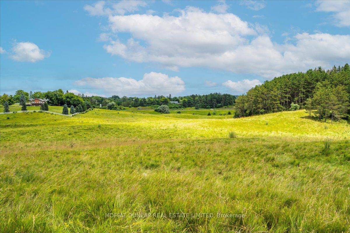 8575 Patterson Side Road