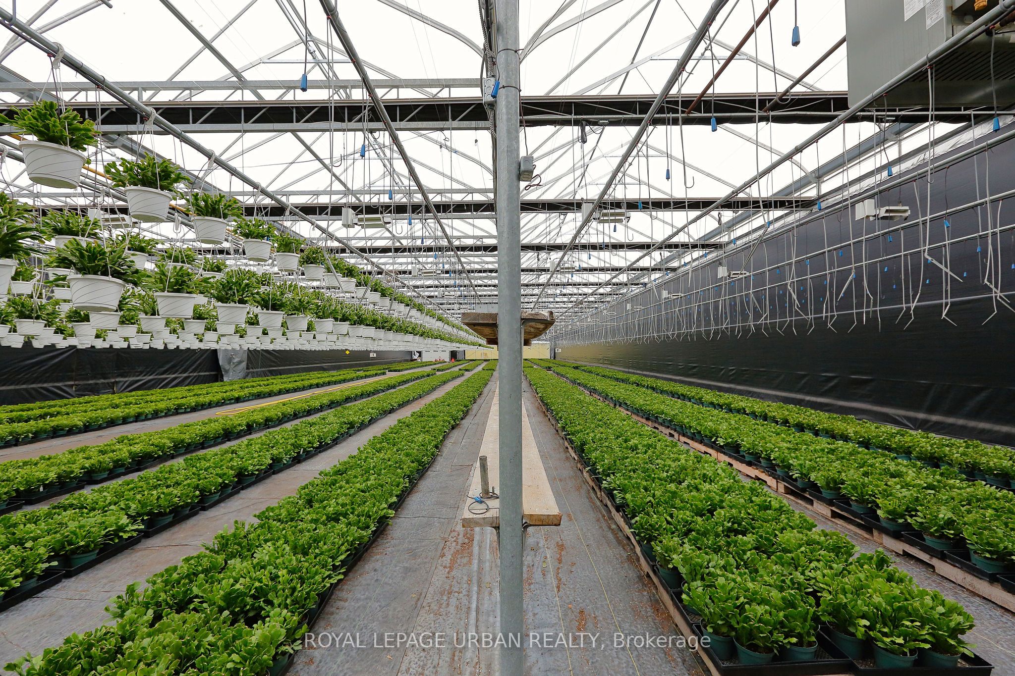 18509-18545 Keele Street