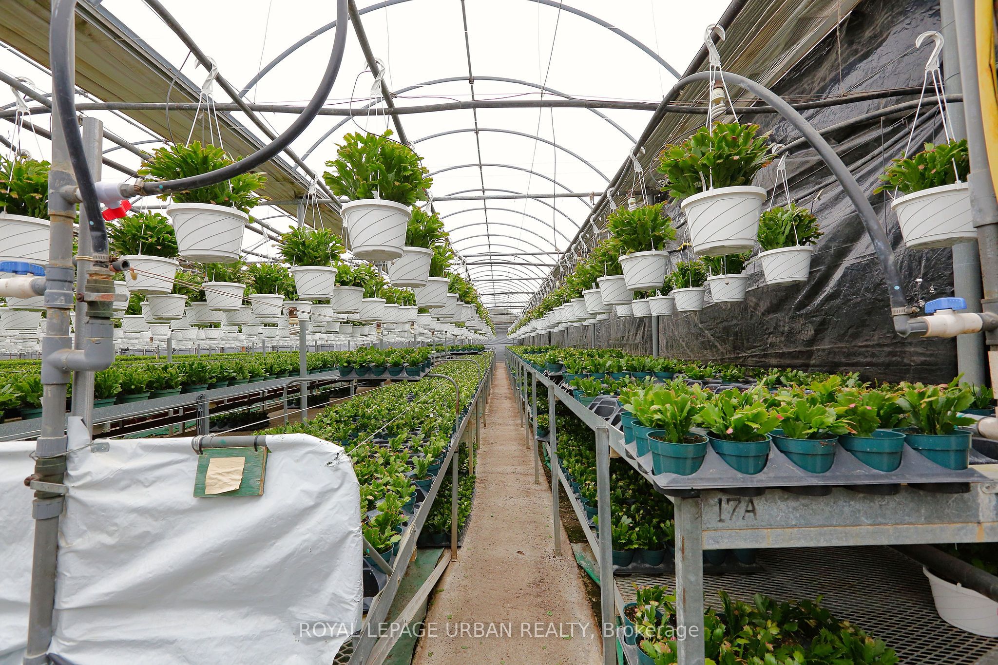 18509-18545 Keele Street