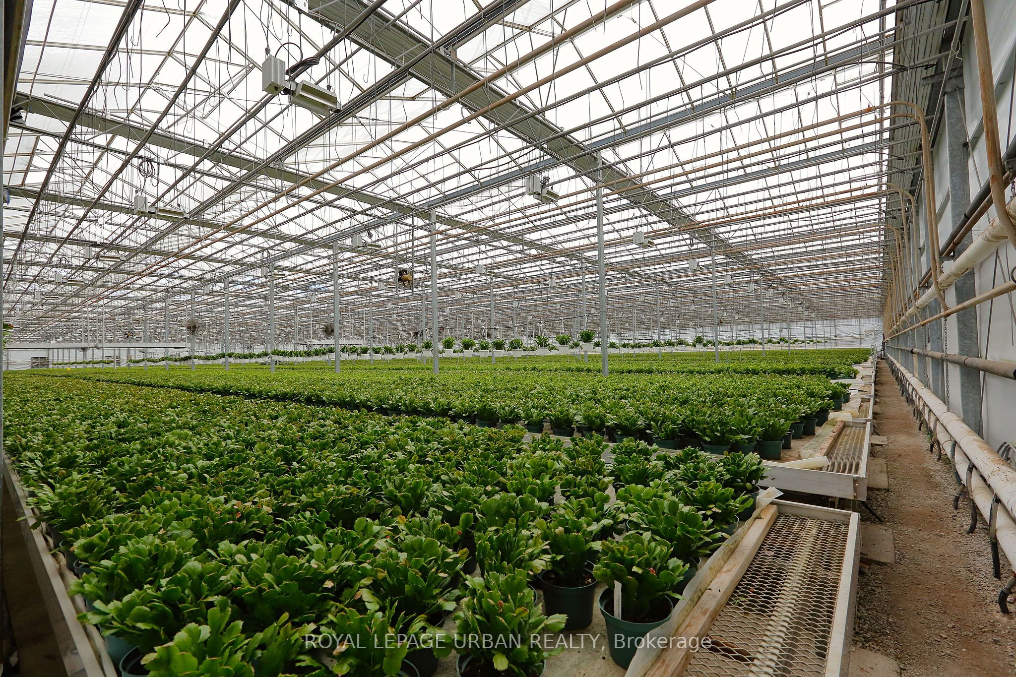 18509-18545 Keele Street