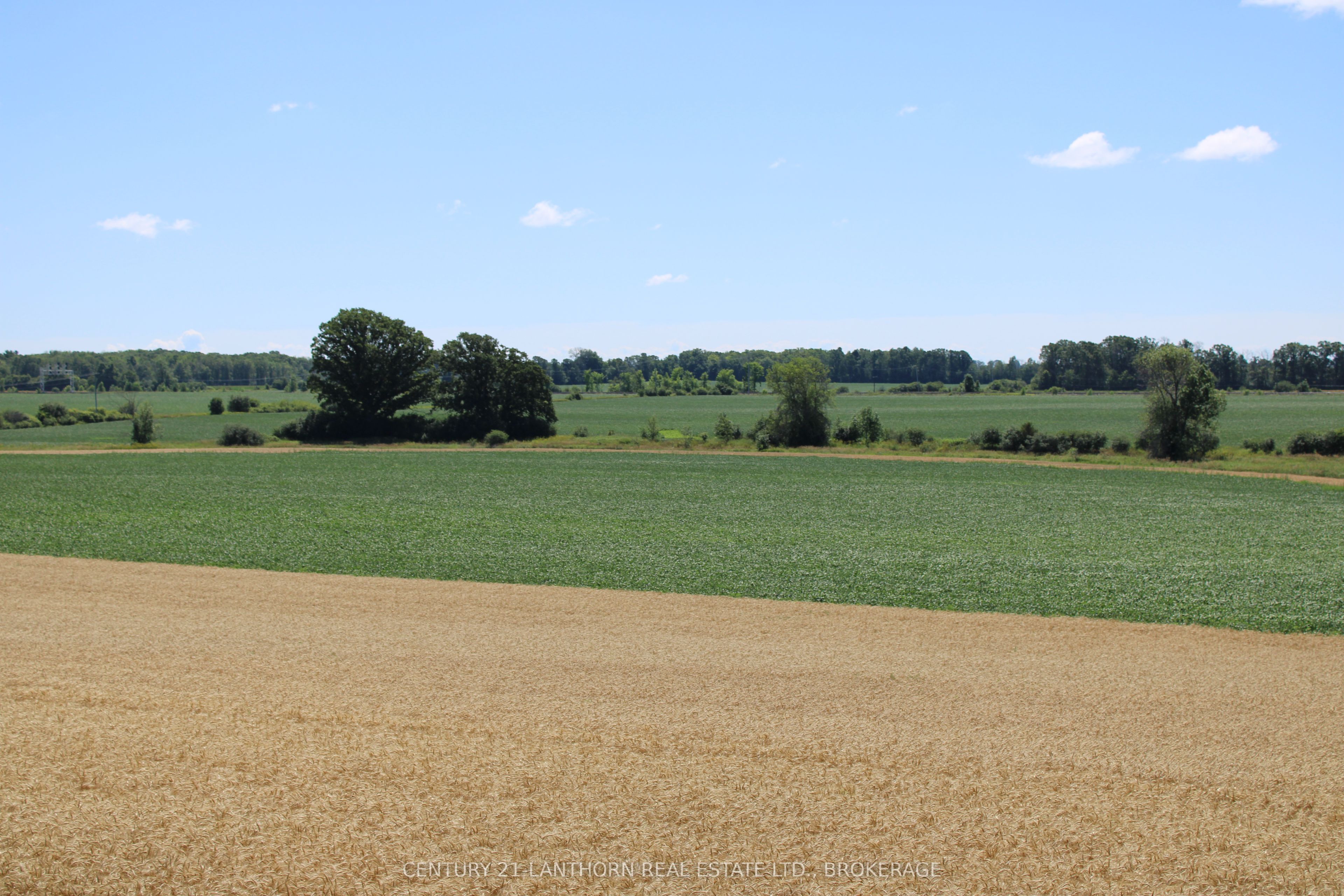 LT15-16 COUNTY 1 Road W