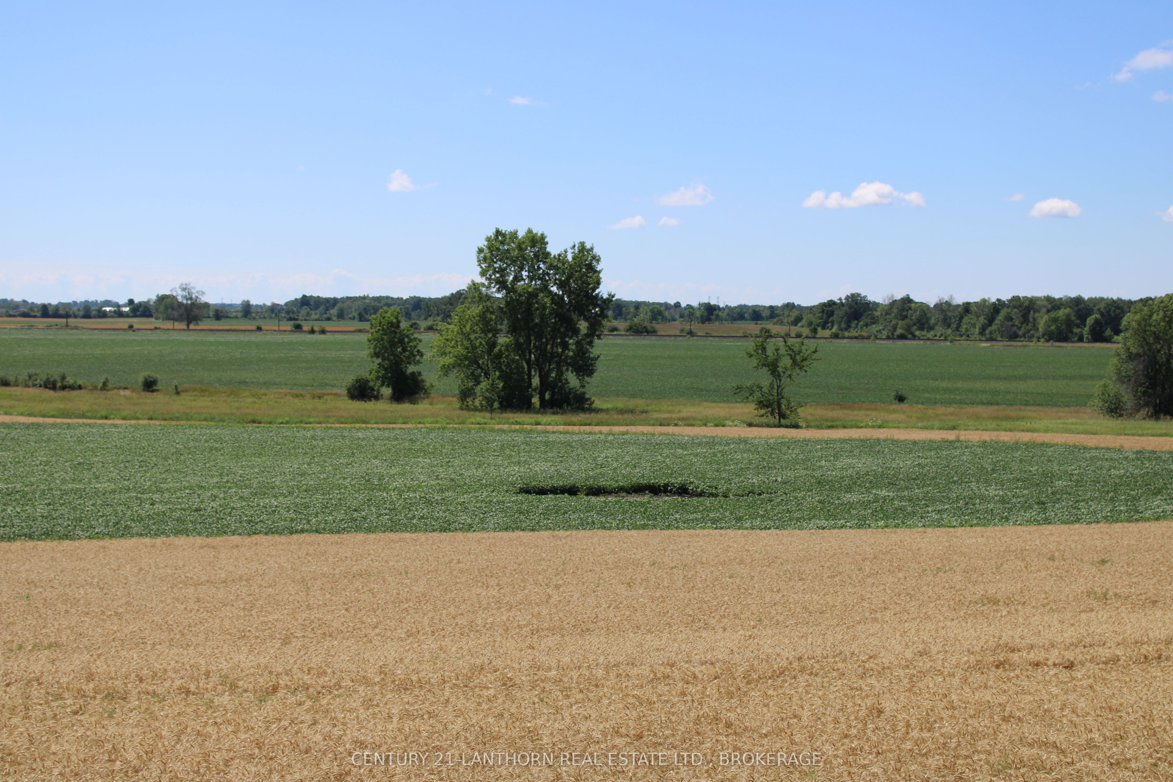 LT15-16 COUNTY 1 Road W