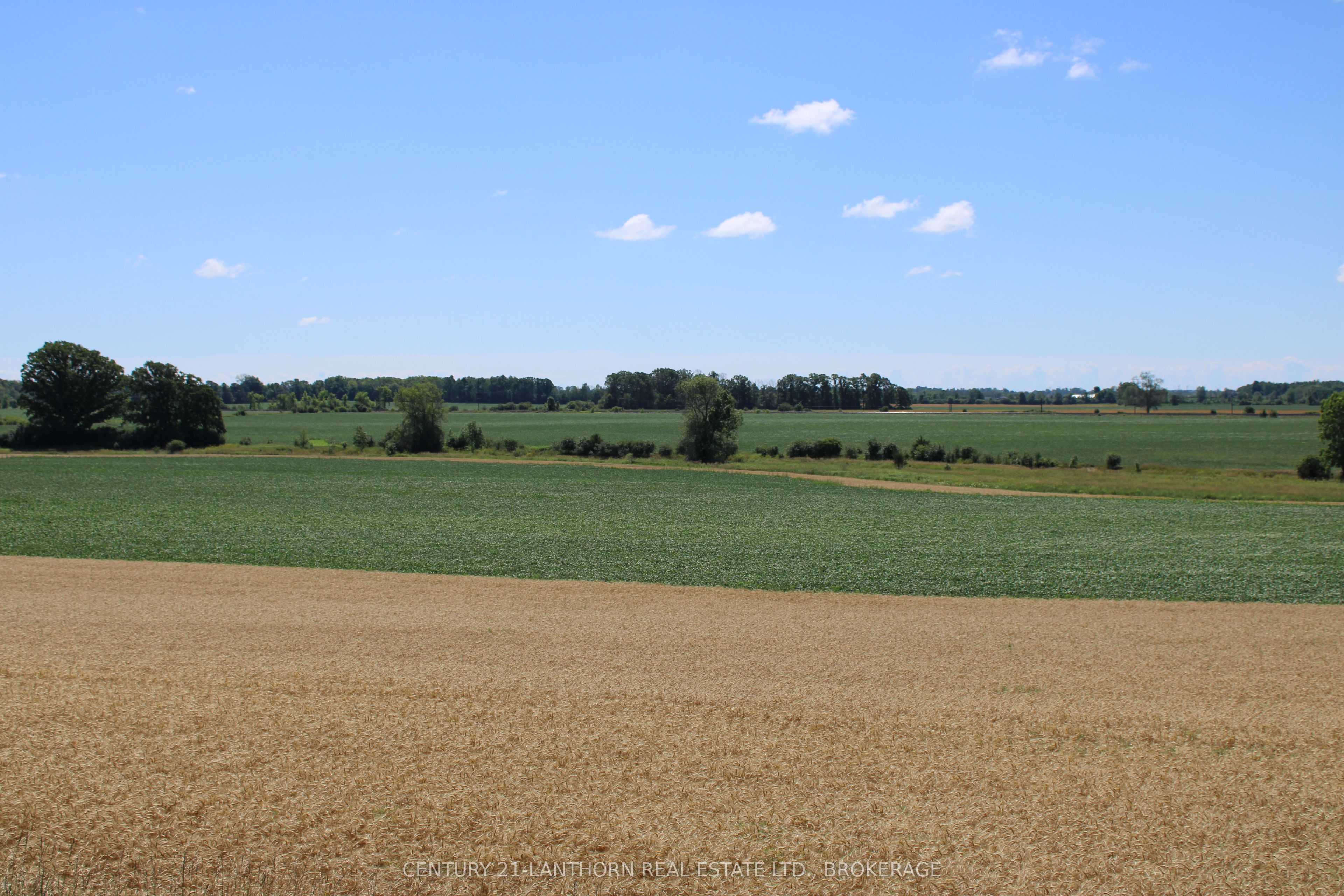 LT15-16 COUNTY 1 Road W