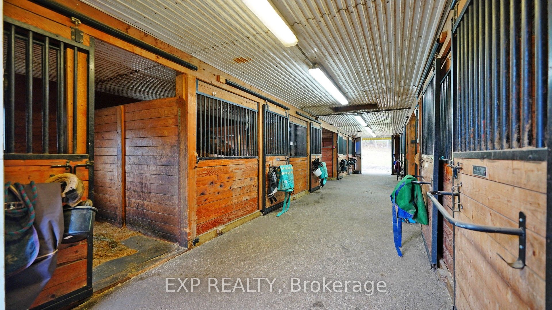 3125 Vandorf Side Road