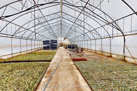 19654 McCowan Road East Gwillimbury ON L0G 1M0