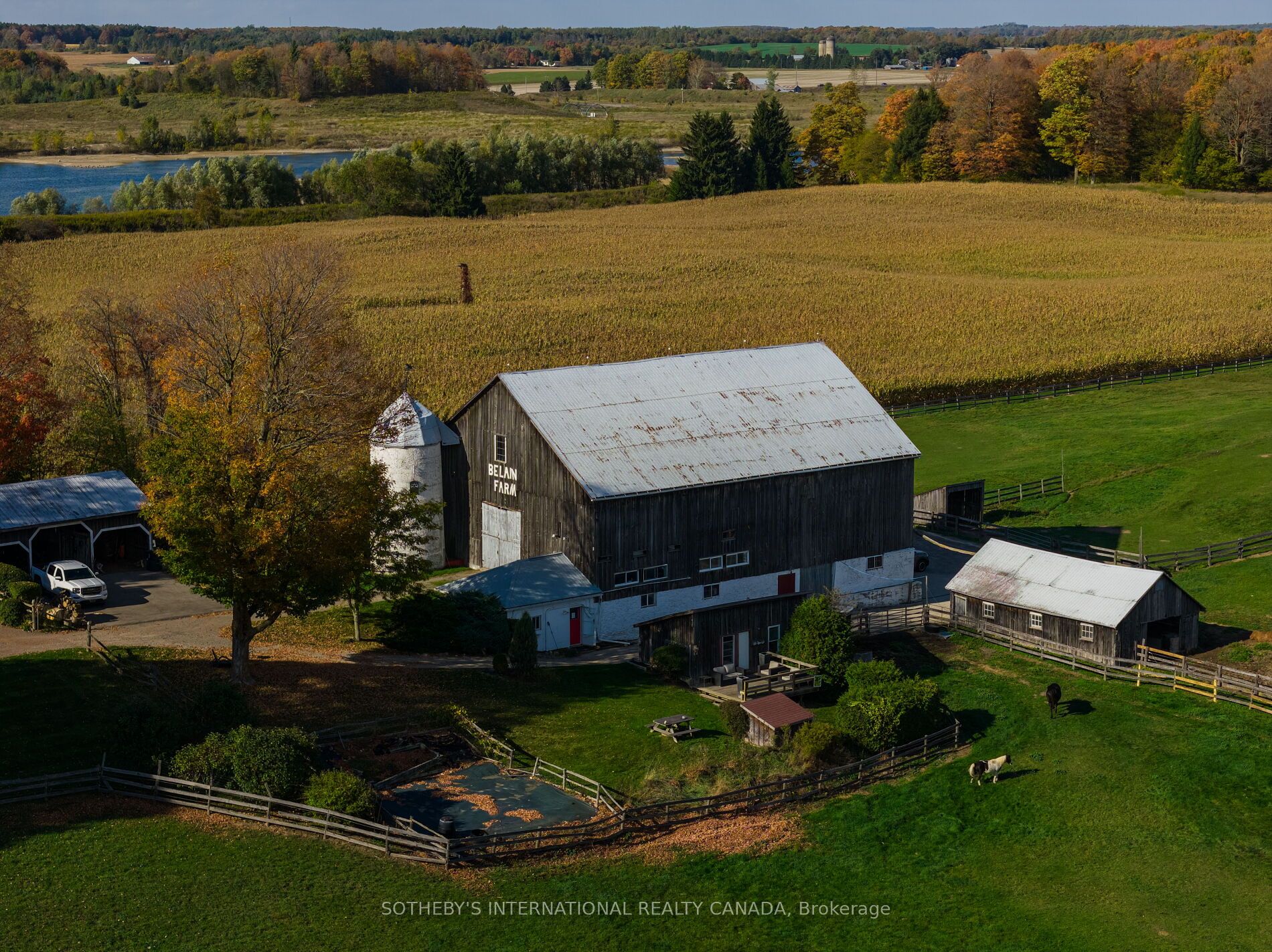 18101 Shaws Creek Road