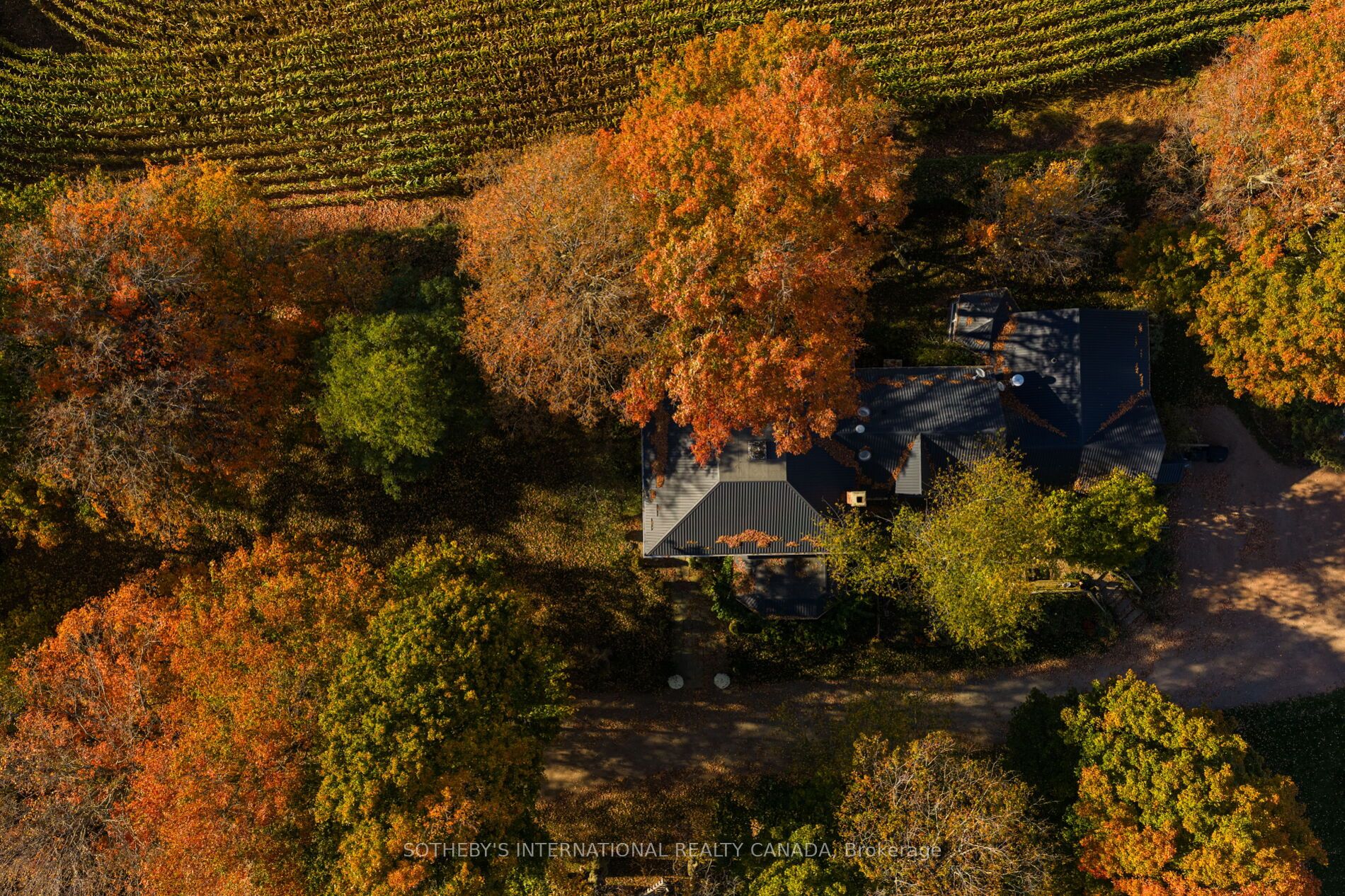 18101 Shaws Creek Road