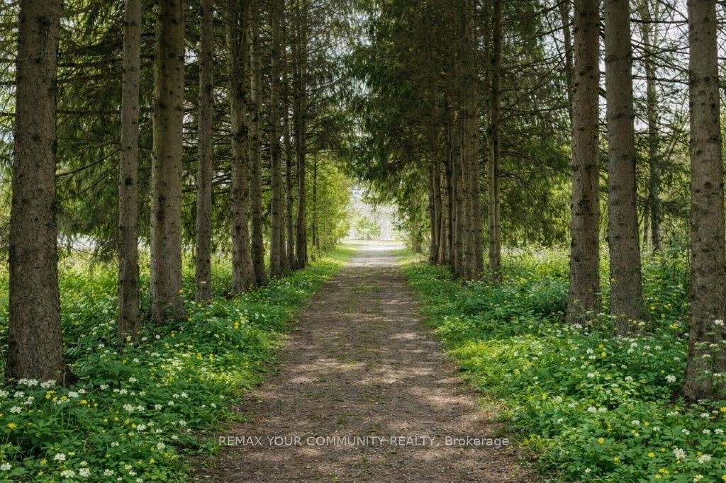 22772 Weirs Side Road