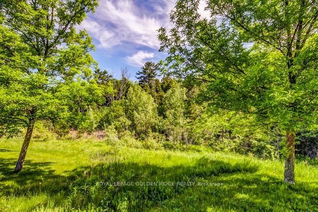 415 Pickering Crescent