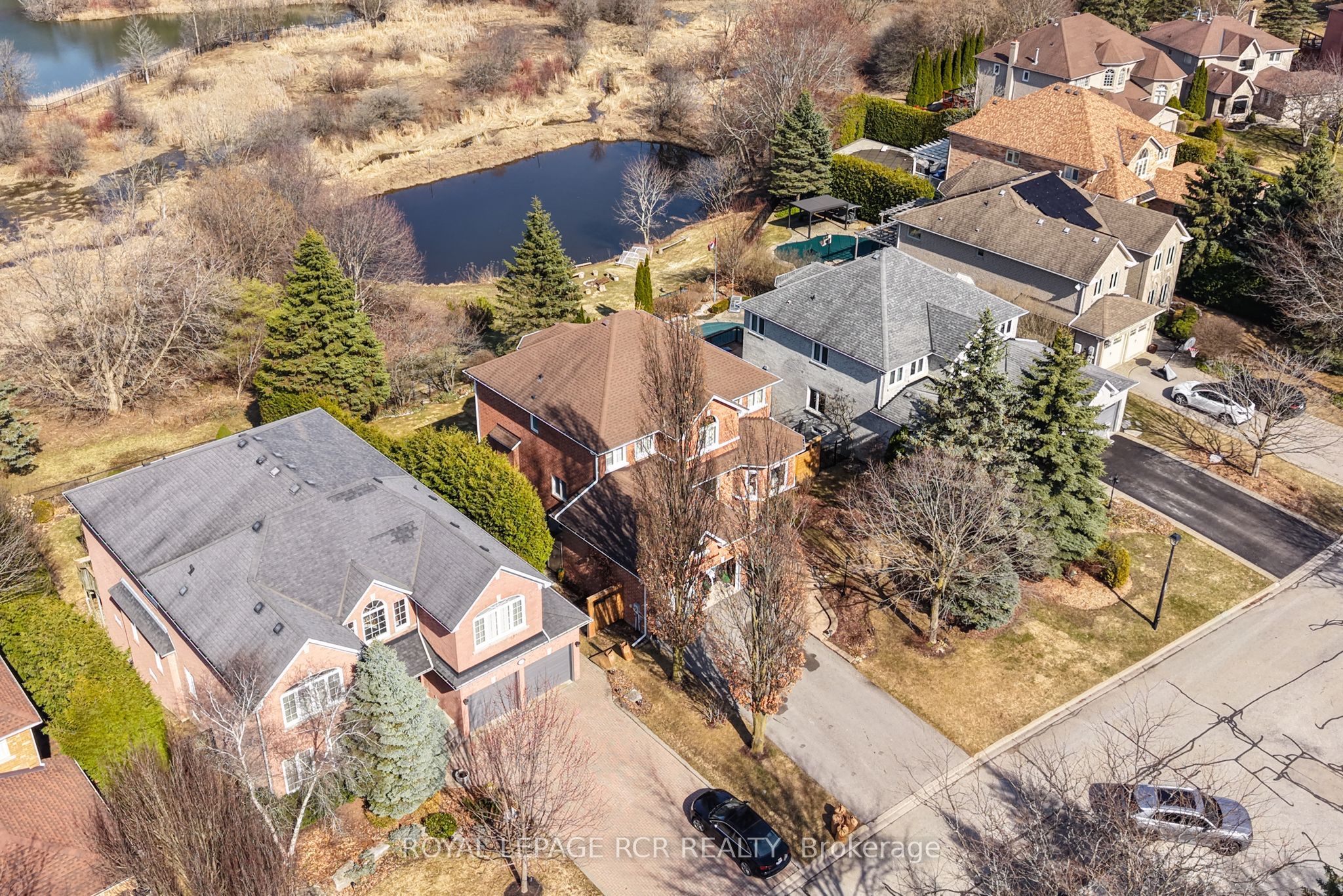 919 Schaeffer Outlook