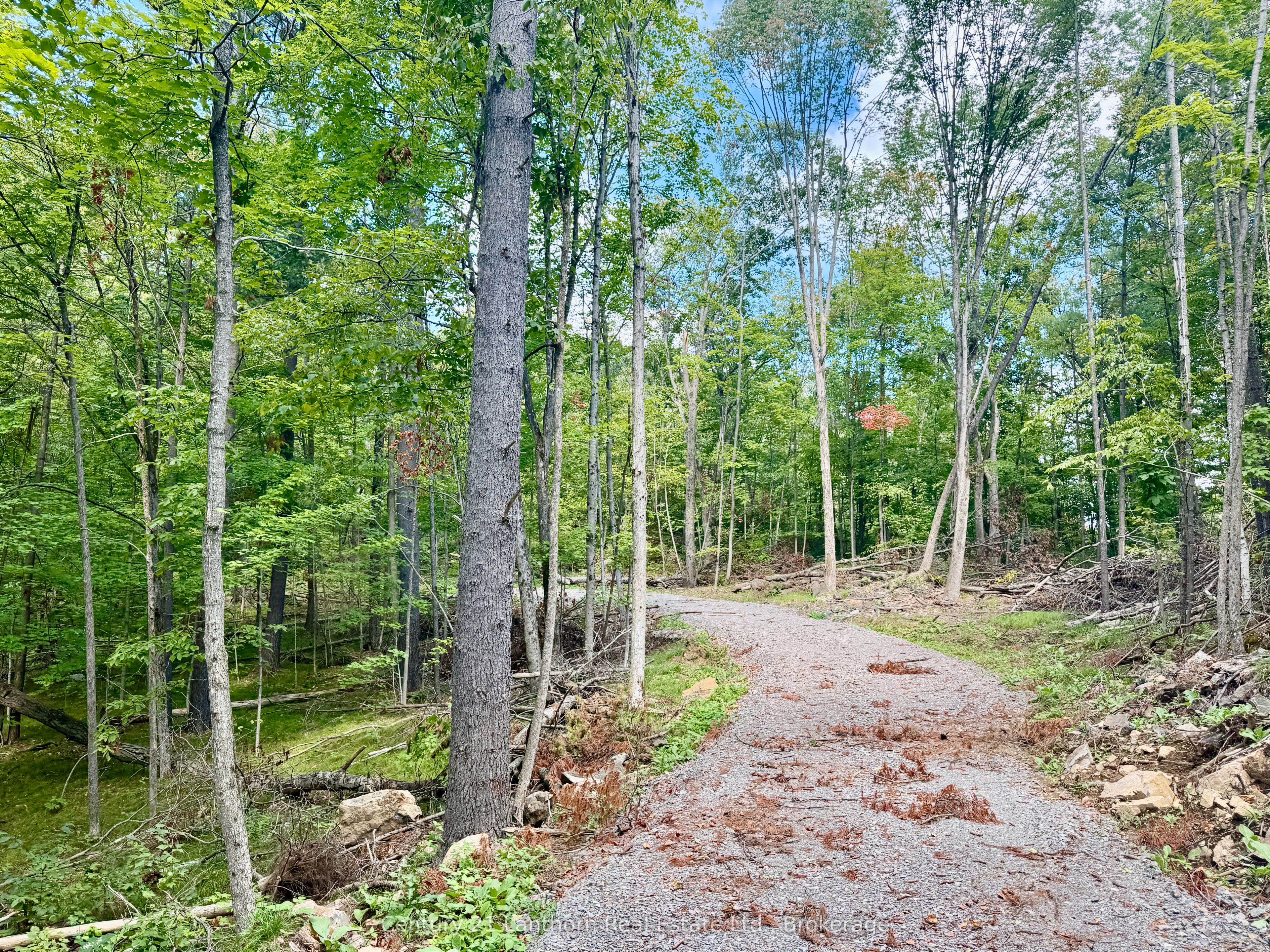 00 North Lot Highway 62 N/A