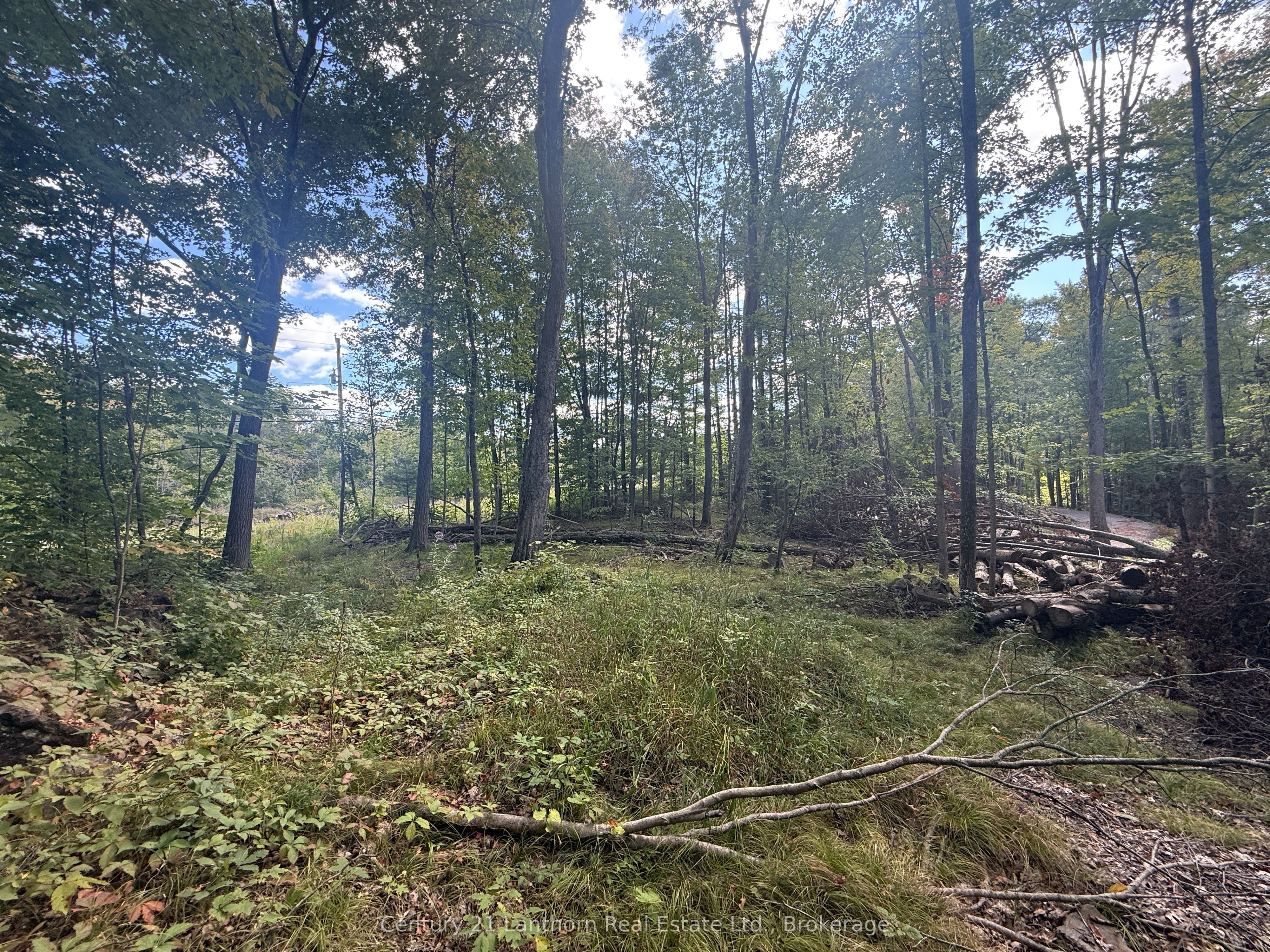 00 North Lot Highway 62 N/A