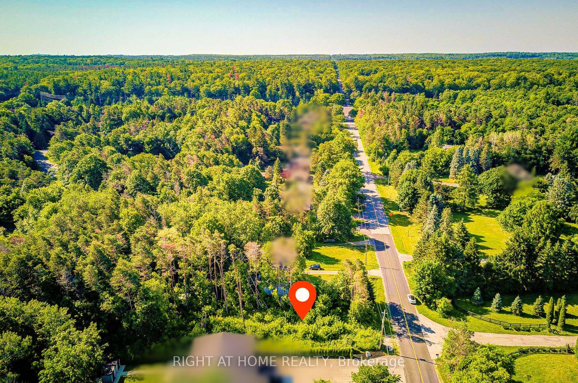 16895 Mccowan Road