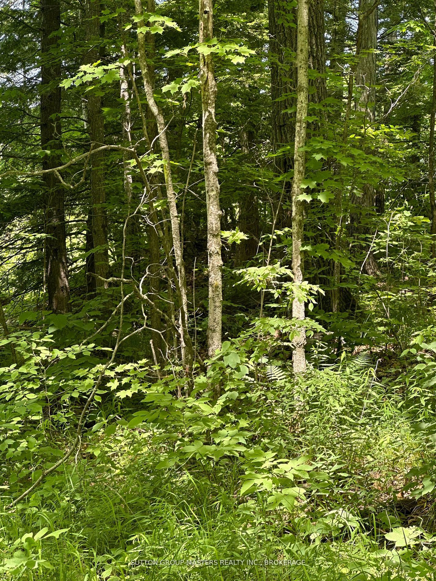 0 Maple Grove Lane E