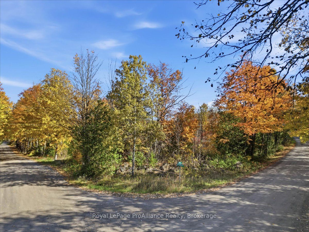0 Rapids Road