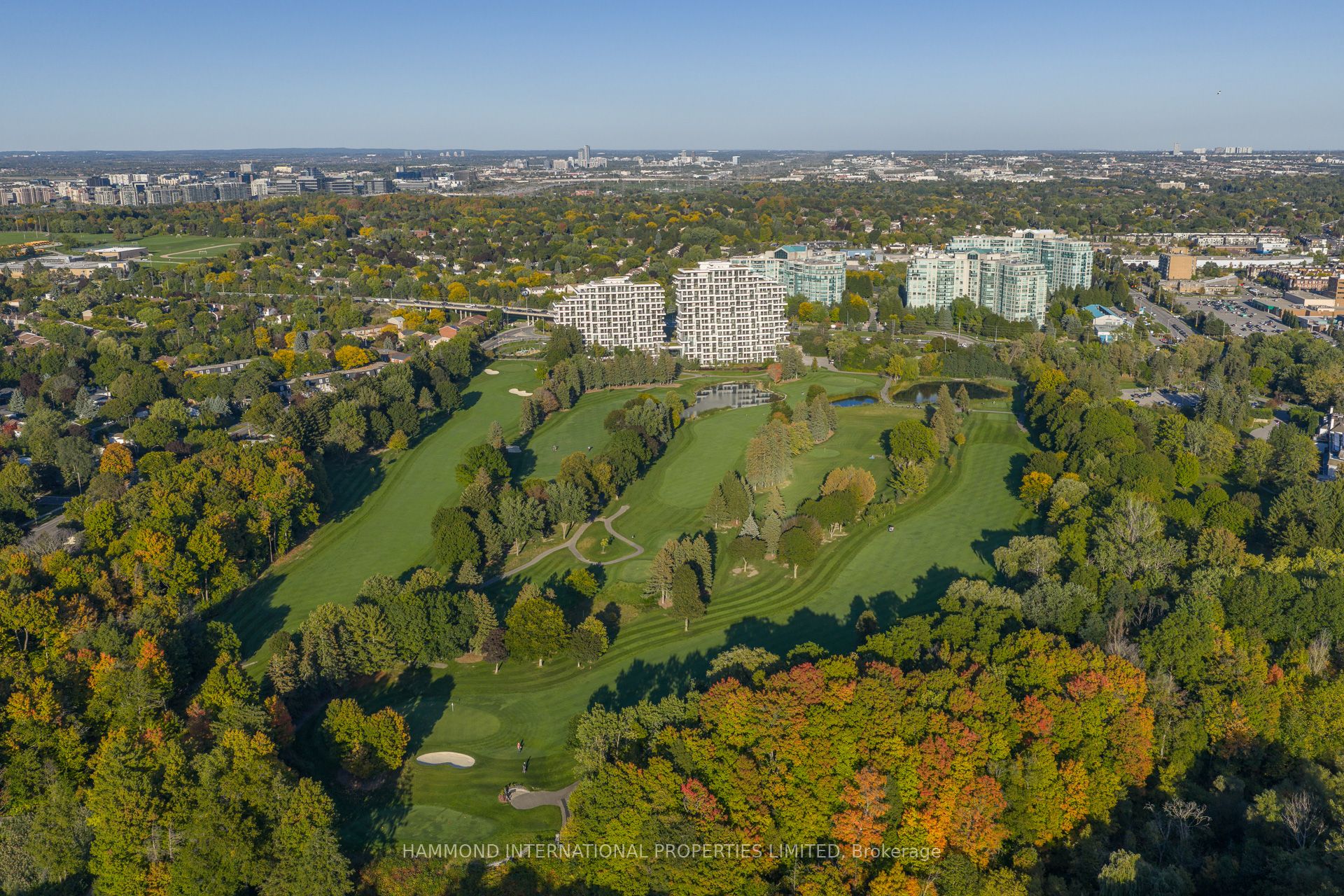 397 Royal Orchard Boulevard 706