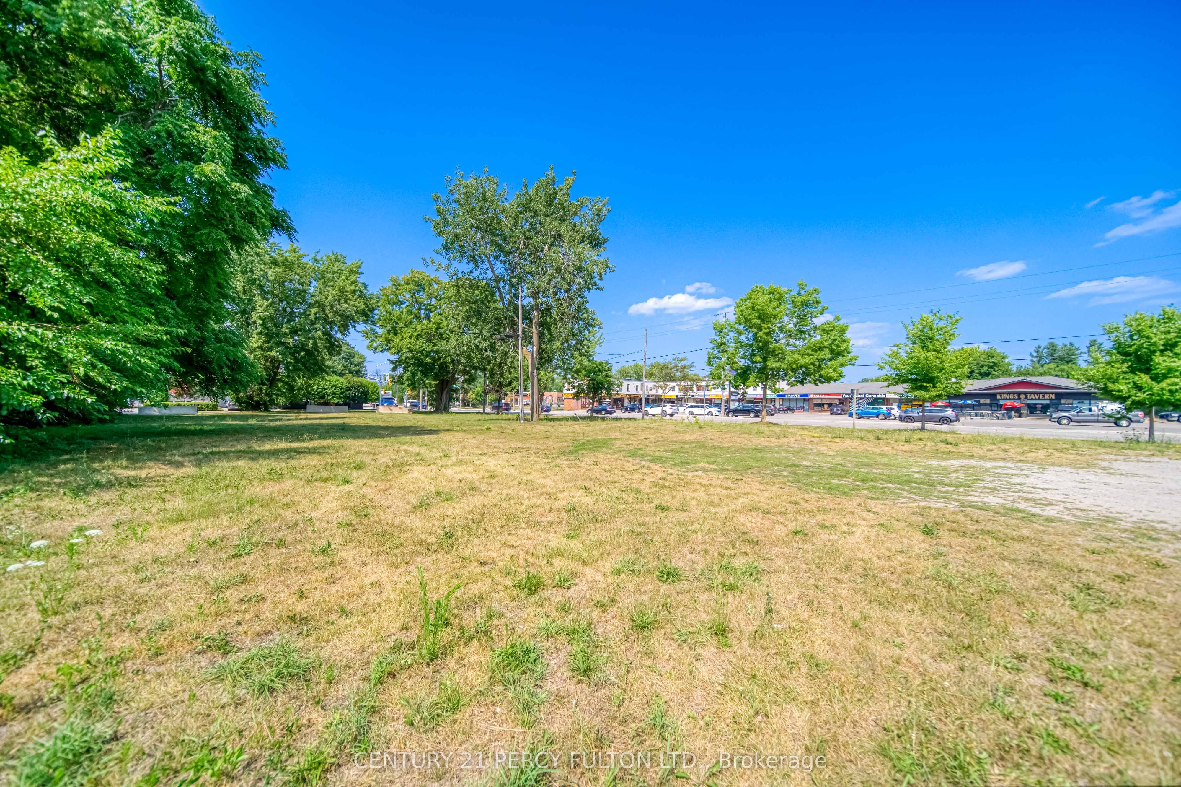 236 Cameron Crescent