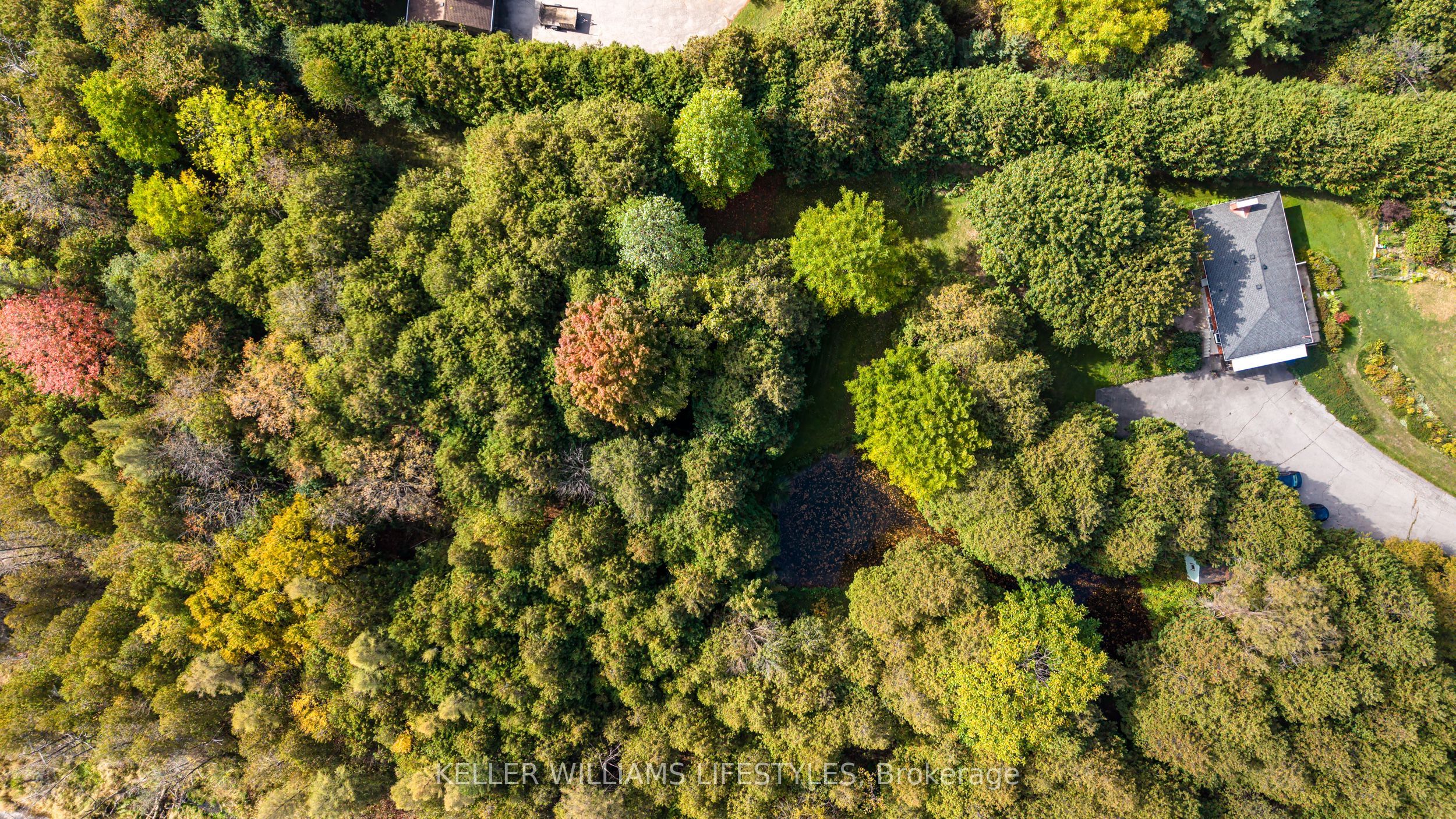 15083 Medway Road