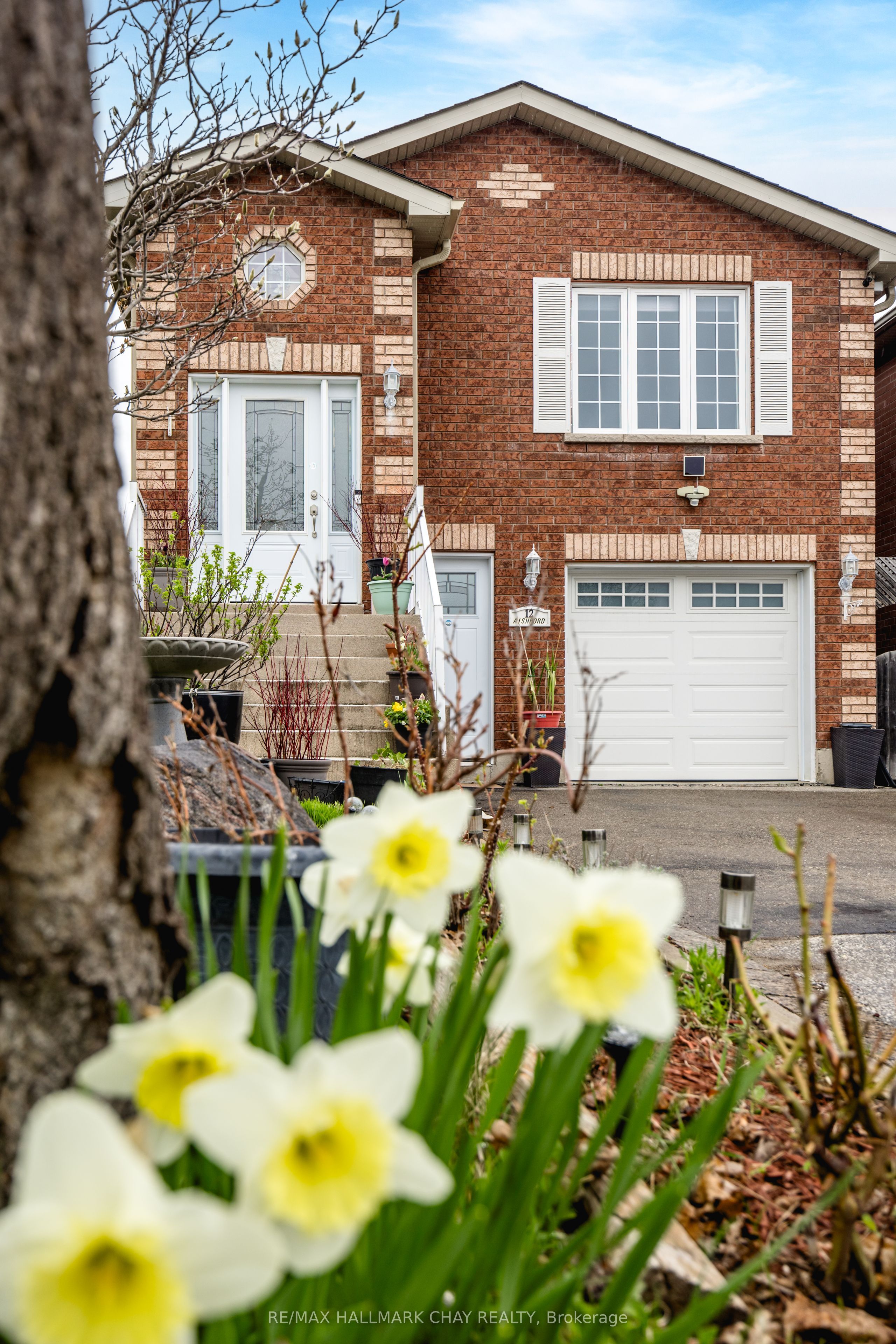 12 Aishford Road