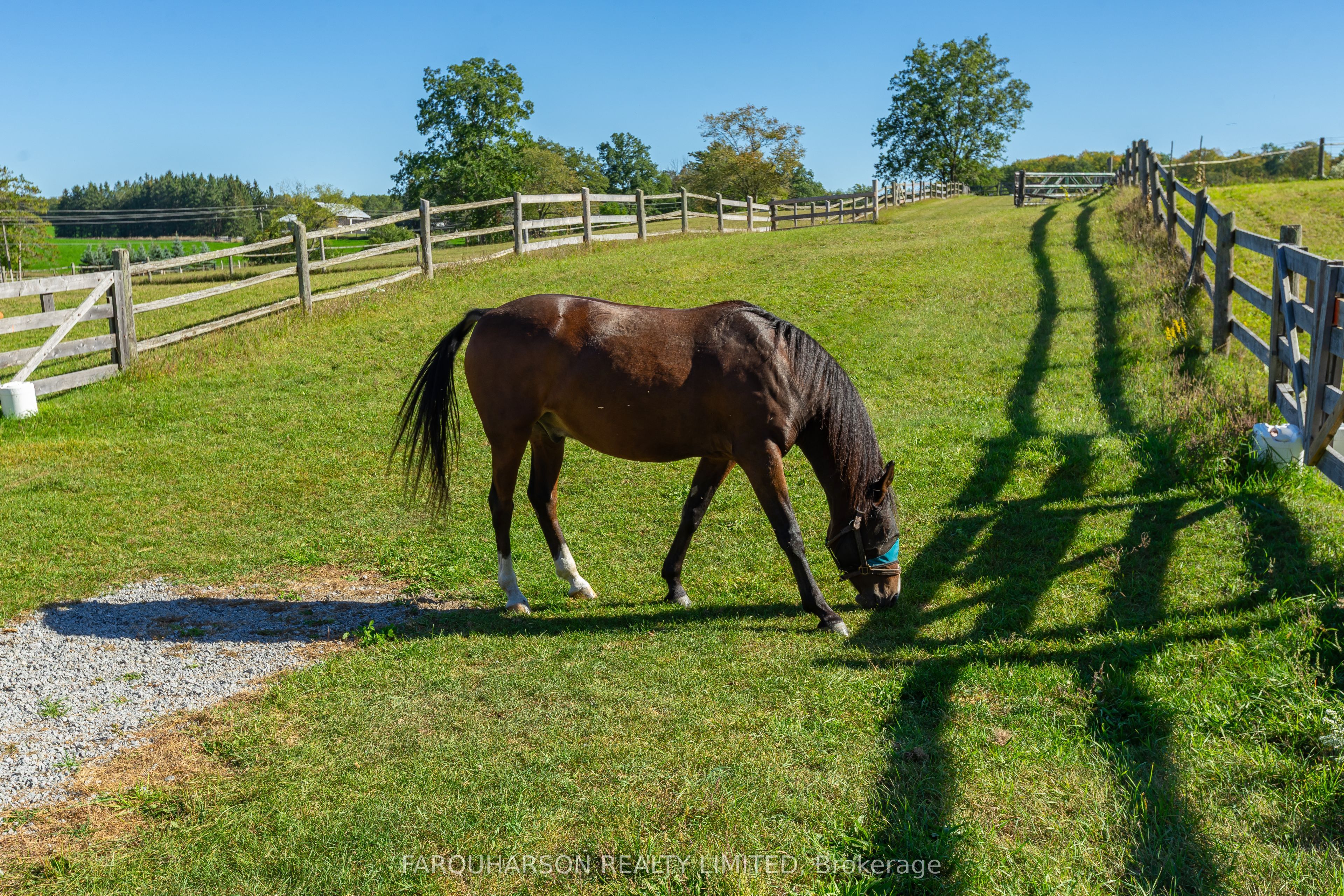 5550 7th Concession