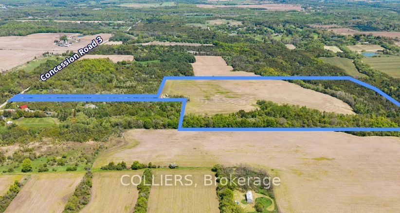 3779 Concession Rd 3 N/A
