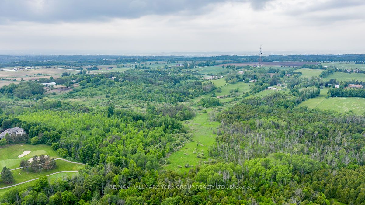 15763 Dufferin Street