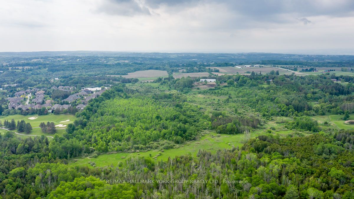 15763 Dufferin Street