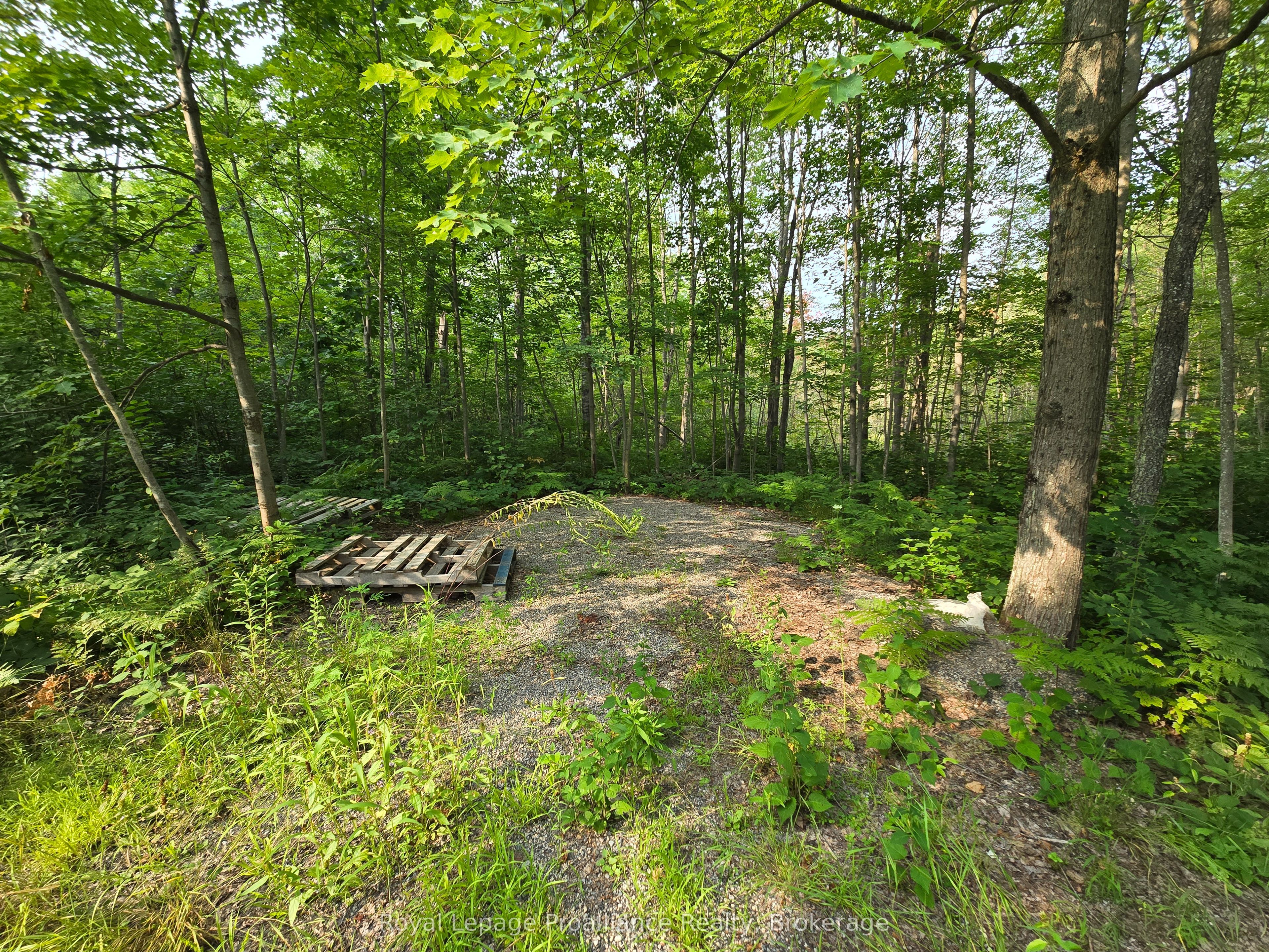 1446 Flinton Road