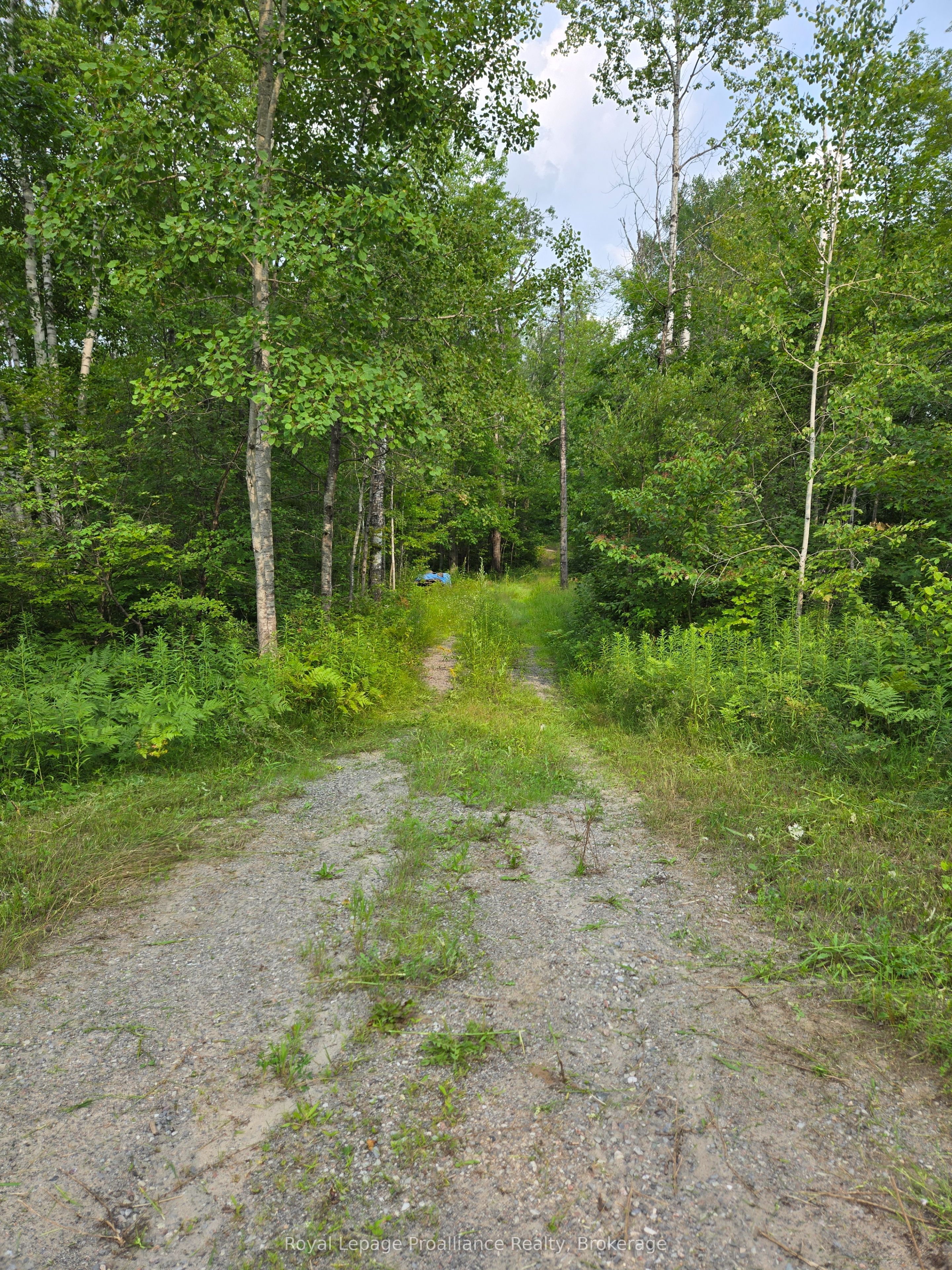 1446 Flinton Road