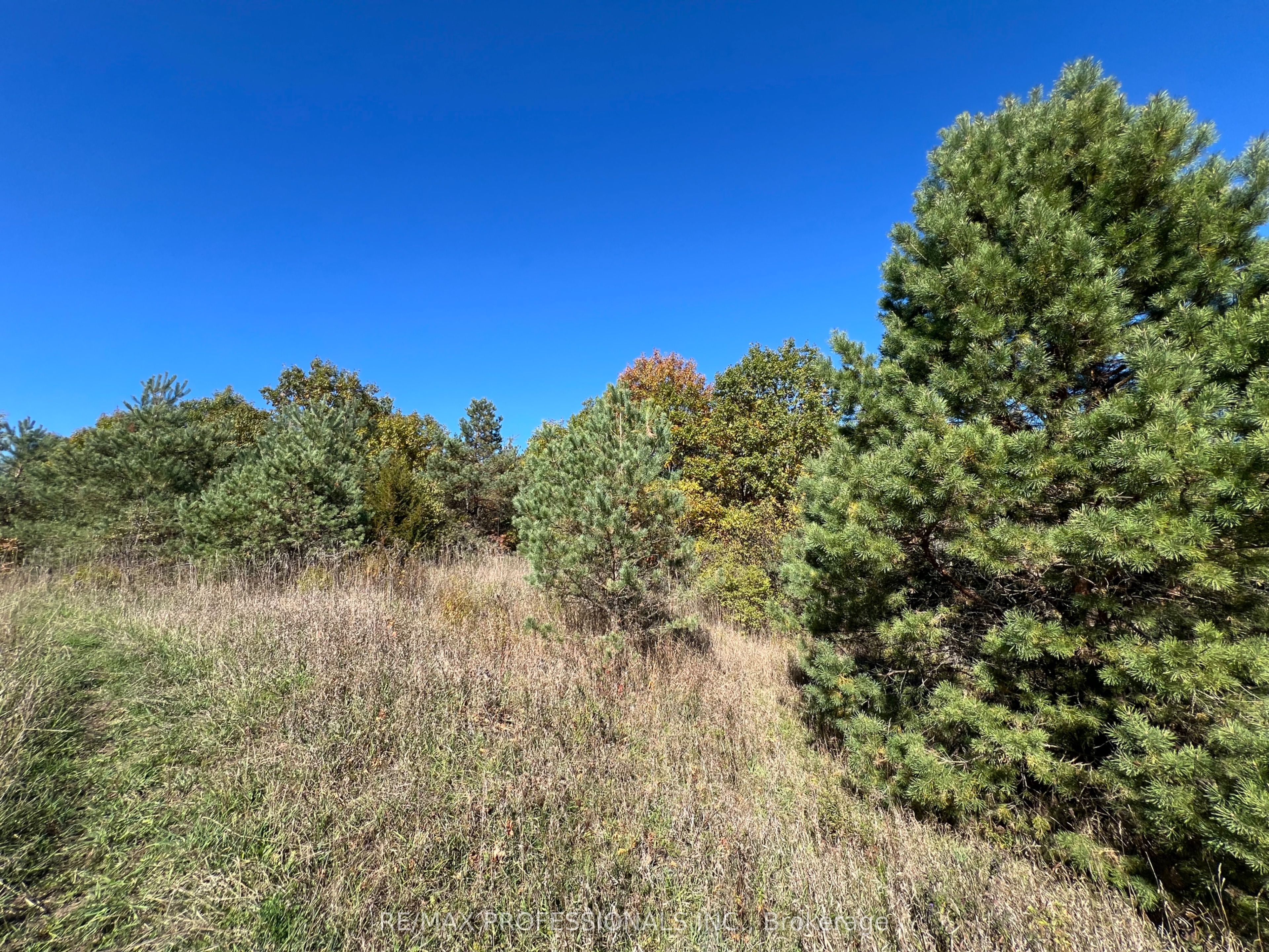 14070 DUBLIN LINE Line