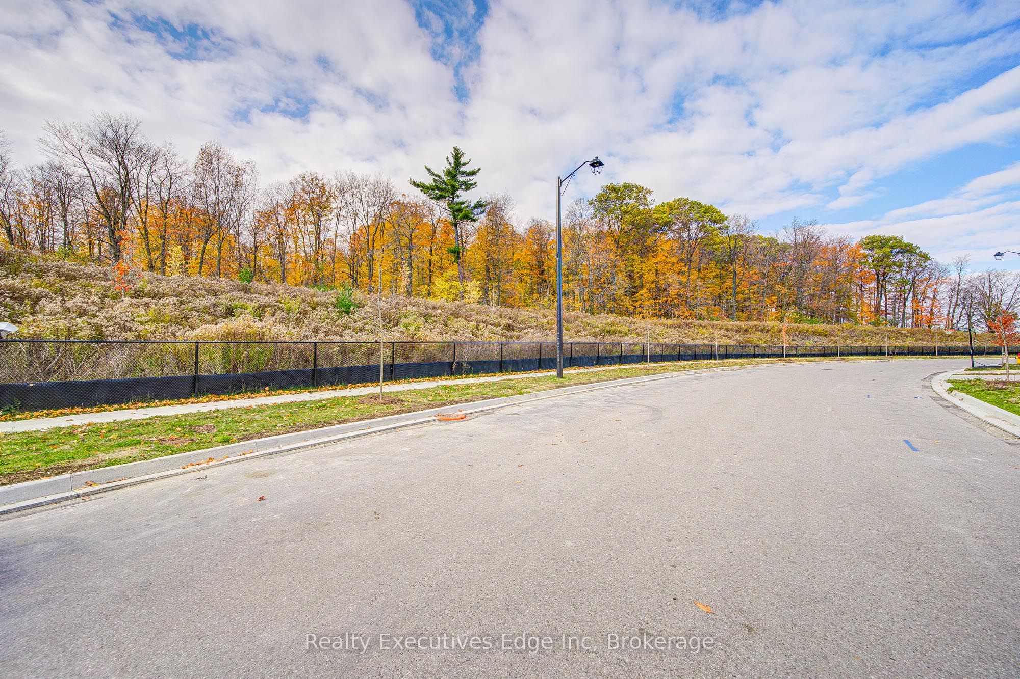 229 Forestwalk Street