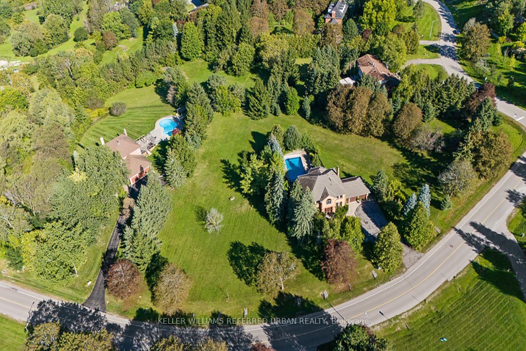 64 Elderberry Trail