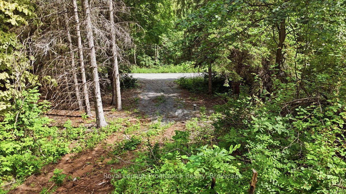 00 Otter Creek Road