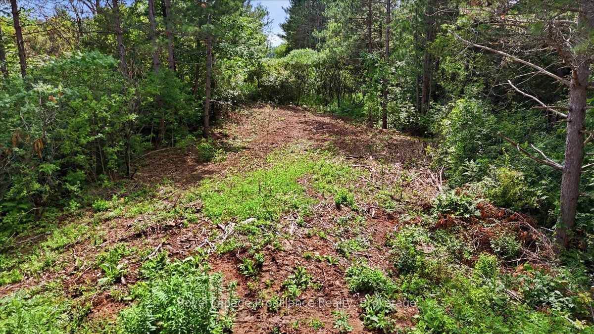 00 Otter Creek Road