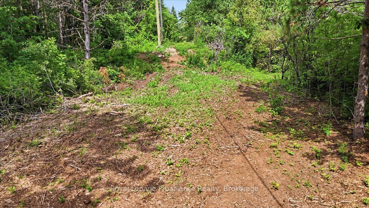 00 Otter Creek Road