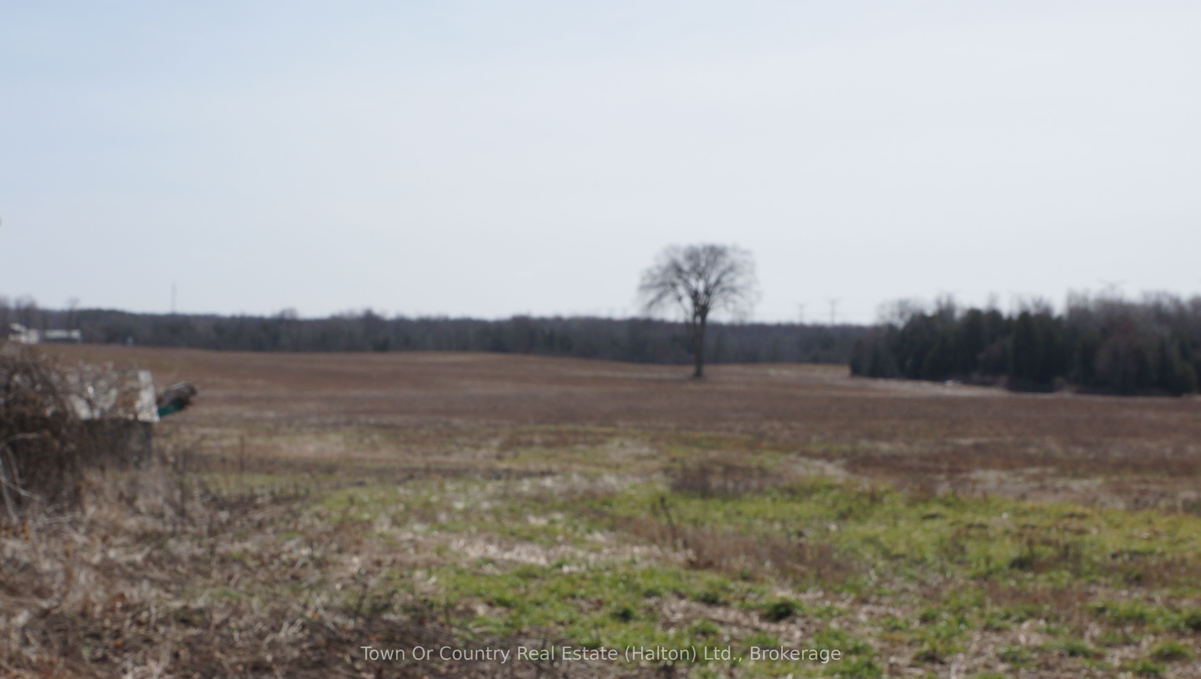 10894 32 Side Road N