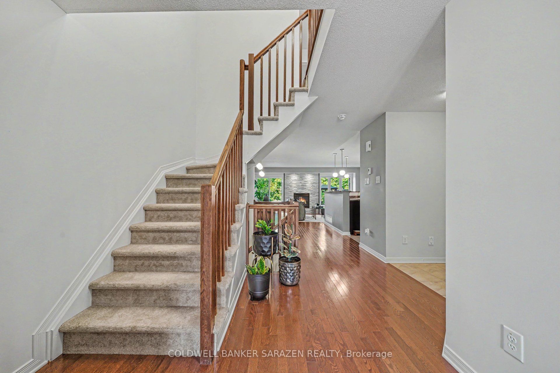 229 Vision Street