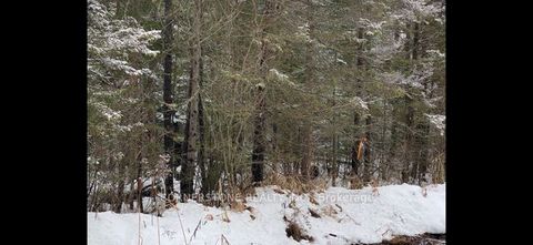 12 Edgar/Station Road Street Perry ON P0A 1J0